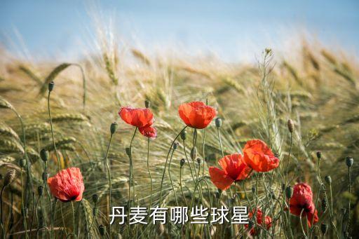 丹麥有哪些球星