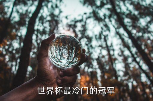 世界杯最冷門的冠軍