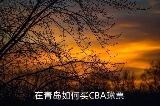 山東足球票怎么買,上海足球票 怎么買