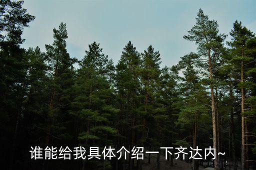 誰能給我具體介紹一下齊達(dá)內(nèi)~