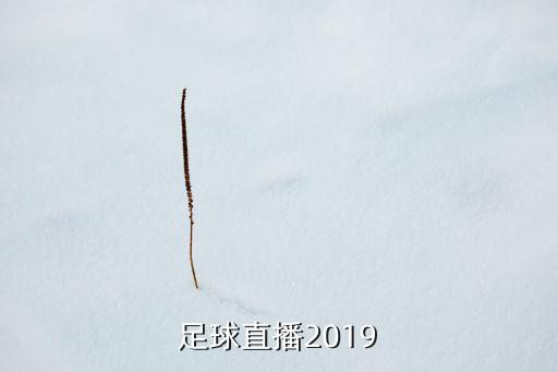 足球直播2019