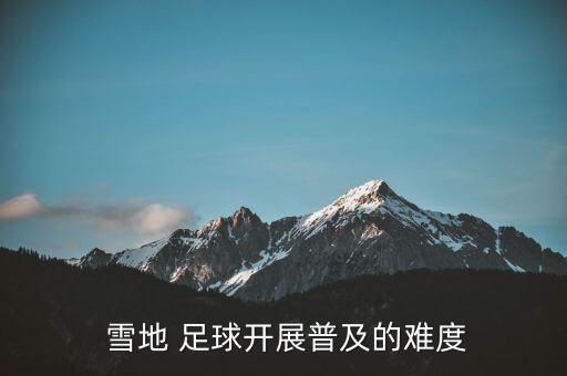 雪地足球比賽用什么球,足球比賽大球2.5什么意思
