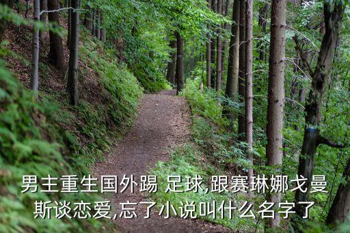 男主重生國(guó)外踢 足球,跟賽琳娜戈曼斯談戀愛(ài),忘了小說(shuō)叫什么名字了