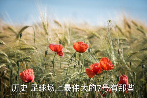 足球 皇馬七號,主角加入皇馬的足球小說