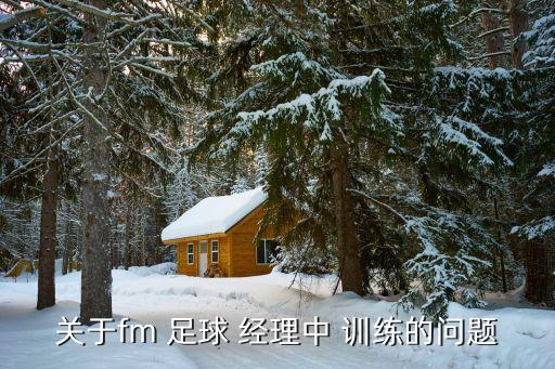 關(guān)于fm 足球 經(jīng)理中 訓練的問(wèn)題