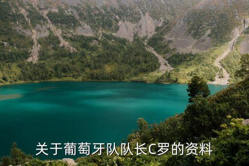 關于葡萄牙隊隊長C羅的資料