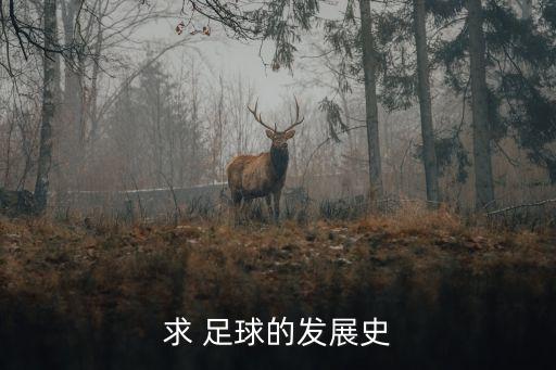 求 足球的發(fā)展史