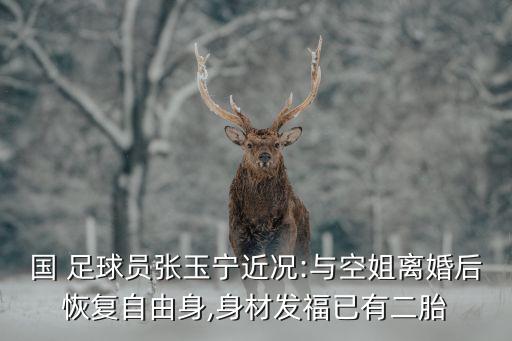 國(guó) 足球員張玉寧近況:與空姐離婚后恢復(fù)自由身,身材發(fā)福已有二胎