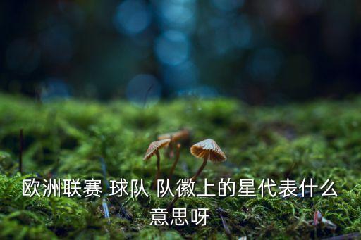 歐洲聯(lián)賽 球隊 隊徽上的星代表什么意思呀