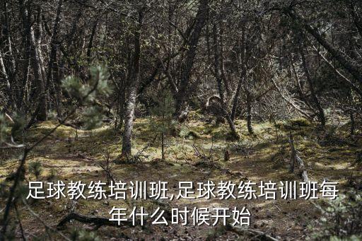 廣州 足球教練培訓(xùn)班,足球教練培訓(xùn)班每年什么時候開始