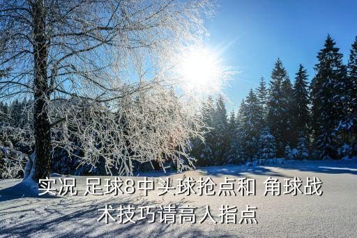  實況 足球8中頭球搶點和 角球戰(zhàn)術技巧請高人指點
