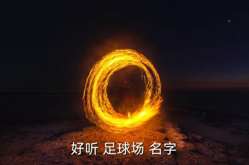 足球館的名字大全集,酸菜魚(yú)館名字大全集