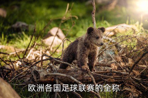 歐洲各國足球聯(lián)賽的全稱