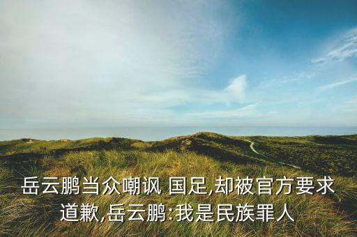 國足球迷罵足協(xié)