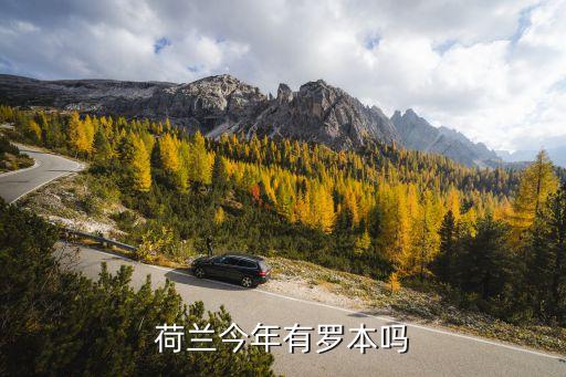 弗蘭基德容實(shí)況足球,實(shí)況足球格雷茨卡和德容
