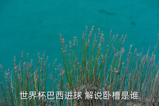 世界杯巴西進球 解說臥槽是誰