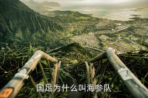 國足為什么叫海參隊(duì)