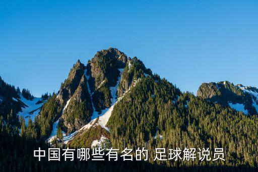 中國(guó)有哪些有名的 足球解說(shuō)員