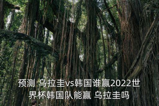 預(yù)測 烏拉圭vs韓國誰贏2022世界杯韓國隊(duì)能贏 烏拉圭嗎