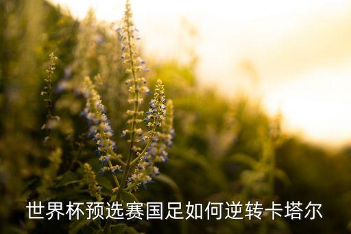 世界杯預(yù)選賽國(guó)足如何逆轉(zhuǎn)卡塔爾