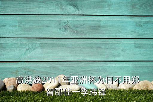  高洪波2011年亞洲杯為何不用鄭智邵佳一李瑋鋒