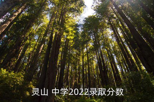 海南省靈山中學足球,海口市靈山中學足球