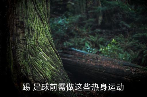 踢 足球前需做這些熱身運動