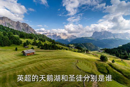 英超的天鵝湖和圣徒分別是誰