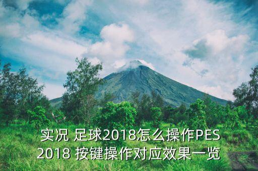  實(shí)況 足球2018怎么操作PES2018 按鍵操作對(duì)應(yīng)效果一覽