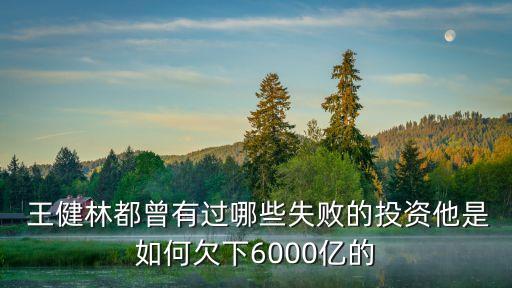  王健林都曾有過(guò)哪些失敗的投資他是如何欠下6000億的