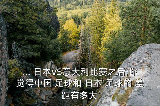 ... 日本VS意大利比賽之后,你覺得中國(guó) 足球和 日本 足球的 差距有多大
