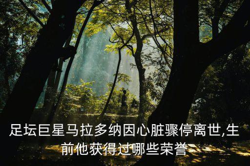 足壇巨星馬拉多納因心臟驟停離世,生前他獲得過(guò)哪些榮譽(yù)