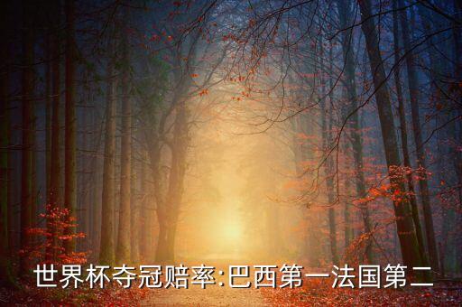  世界杯奪冠賠率:巴西第一法國第二