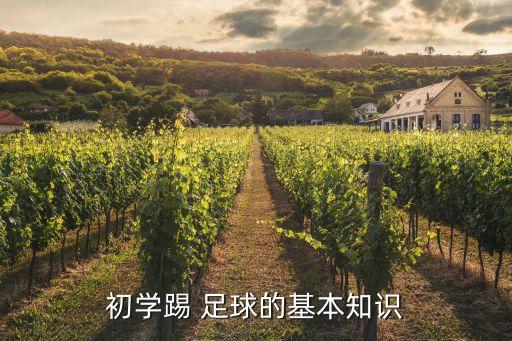 初學(xué)踢 足球的基本知識