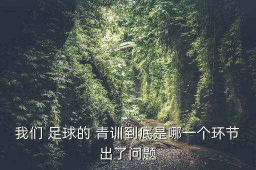 我們 足球的 青訓(xùn)到底是哪一個(gè)環(huán)節(jié)出了問題