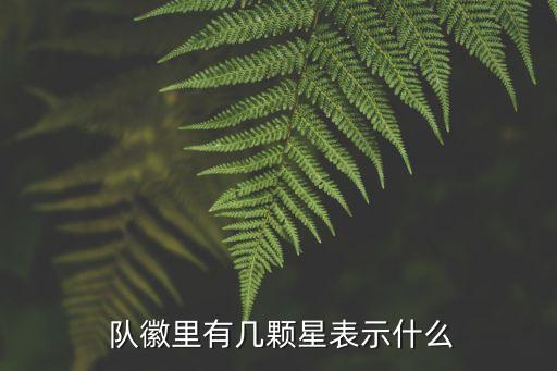 上港足球隊隊徽,世界各國足球隊隊徽