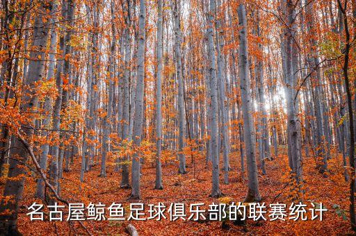 名古屋鯨魚足球俱樂部的聯(lián)賽統(tǒng)計