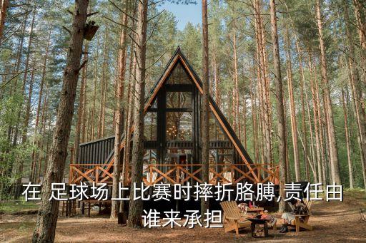 在 足球場(chǎng)上比賽時(shí)摔折胳膊,責(zé)任由誰(shuí)來(lái)承擔(dān)