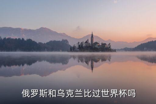  俄羅斯和烏克蘭比過世界杯嗎