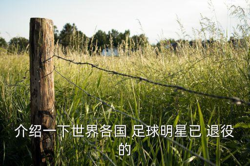介紹一下世界各國(guó) 足球明星已 退役的
