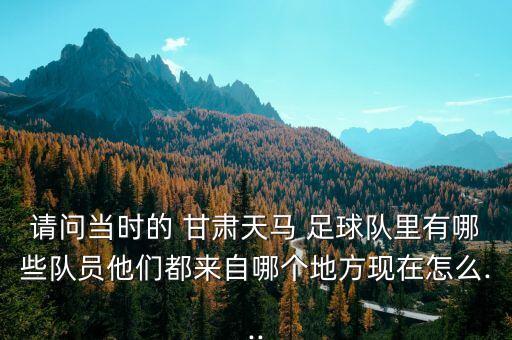 請(qǐng)問(wèn)當(dāng)時(shí)的 甘肅天馬 足球隊(duì)里有哪些隊(duì)員他們都來(lái)自哪個(gè)地方現(xiàn)在怎么...