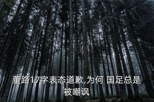 董路17字表態(tài)道歉,為何 國足總是被嘲諷