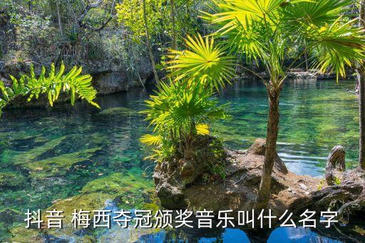 抖音 梅西奪冠頒獎(jiǎng)音樂叫什么名字