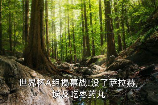 世界杯足球競(jìng)彩烏拉圭勝埃及,2022世界杯足球韓國(guó)和烏拉圭比分