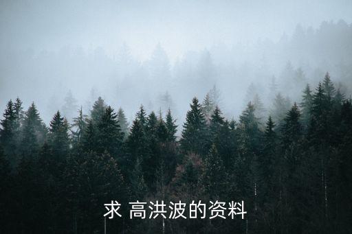 求 高洪波的資料