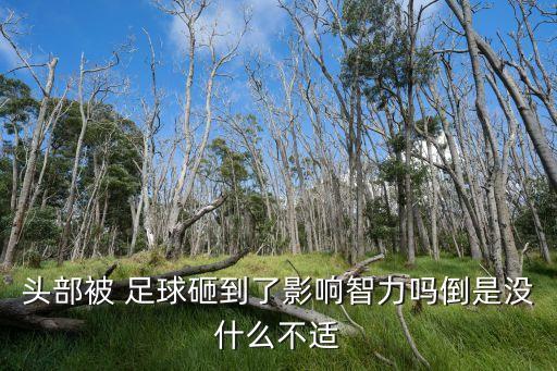 頭部被 足球砸到了影響智力嗎倒是沒什么不適