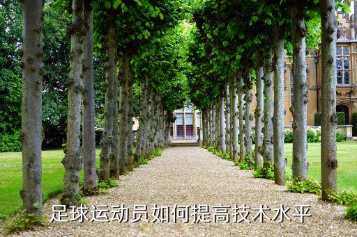 足球特長發(fā)展方向,請結(jié)合自己以后的專業(yè)發(fā)展方向展示特長