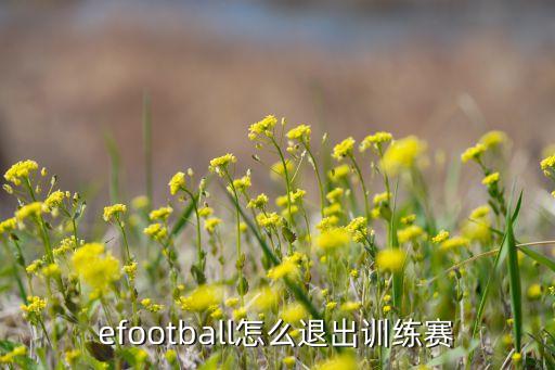 efootball怎么退出訓(xùn)練賽