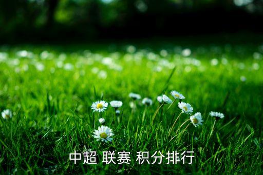 中超 聯(lián)賽 積分排行