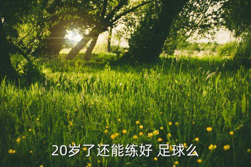 20歲了還能練好 足球么